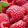 Raspberry jam